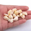 50pcs أبيض DIY Sea Shell Shell Cowrie Cowry Charm Beads extrible beach jewelry esconsities for women sea shells arics netclet diy diy modelybeads cowry sea