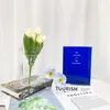 Vasos nórdicos internet celebridades livros acrílico decoração de casa sala de estar decorações de mesa flores frescas e flor vesse