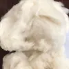 Autres matières premières Blanc sans peluche Approvisionnement direct d'usine Achat veuillez contacter