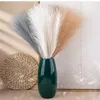 Dried Flowers Background Decoration Supplies For Home Bedroom Room Holiday Wedding Party Pampas Grass Bouquet Simulation Flower Reed 231030