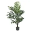 Decorative Flowers Kentia Artificial Tree Green Pampas Decoration Wedding Decorations For Party Resin Molds Cottagecore Eucalyptus Ga