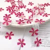 Dekorativa blommor original verbena torkad pressblomma för nagel dekoration grossist gratis sändning 1000 st