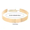 Riemen Luxe Mode Taille Ornament Vrouwen Verstelbare Lovertjes Metalen Brede Riem Goud Zilver Kleur Spiegel Tailleband