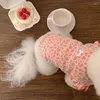 Vestuário para cães Pet Vestidos de verão para cães Chihuahua Fino Teddy Yorkshire Roupas Elasticidade Suavidade Conforto Fácil de colocar e tirar