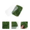 Dekorativa blommor mossa bevarad bulk diy material terrarium eviga leveranser naturliga krukväxter mikro landskap dekor hus dekorationer