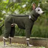 Vestuário para cães 2024 Winter Turtleneck Whippet Roupas Italian Greyhound Bedlington