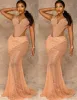 플러스 사이즈 아랍어 ASO EBI Mermaid Gold Lace Prom Dreess Sheer Neck Beaded Evening Formal Party Second Reception Gowns Dress