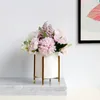 VASES NORDIC NORDIC MODENT LIGHT LUXURY JUSULENT PLATEN