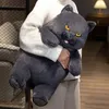 Plush Dolls Fat Cat Plush Stuffed Animals Toy Lifelike Black Cat Toy for Boys and Girls Children Xmas Birthday Gift 231030