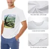 Men's Polos Bibio Sleep On The Wing T-Shirt Boys White T Shirts Korean Fashion T-shirts