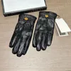 High Grade Leather Gloves Men Black Mittens Winter Outdoor Plush Touch Screen Gloves Vacation Ski Sheepskin Glove