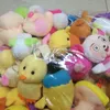 Plush Dolls 10pcs Random Styles Toy 5 15cm Teddy bear duck chick Cute Soft Stuffed For Kids Christmas Gift 231030