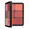 Blush 12 couleurs Blush correcteur ensemble naturel défaut éclaircissant surligneur 16 couleurs imperméable visage Contour crème Palette 231030