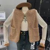 Gilet senza maniche in pelo di agnello imitazione pelliccia da donna Cappotto da ragazza con tasca con cerniera e temperamento alla moda