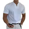 Men's Polos 2023 Summer Fashion Trend Sports Fitness Leisure Simple T-Shirt Solid Loose Short Sleeve V-Neck Top Polo Shirt
