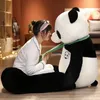 Plush Dolls 80 100cm Kawaii Big Giant Panda Bear Toys محشو بالحيوانية دمية وسادة Huggable Cartoon Girls Lover 231030