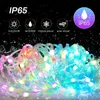 Decoraciones navideñas WS2812B LED String Light BT RGB Luces navideñas Fiesta 5m 10m Aplicación de música RGBIC Dream Color Direccionable individualmente USB 5V Power 231030