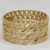 Brazalete Bengala África Brazaletes de lujo de Dubai para mujer niña con diamantes de imitación blancos joyería pulseras árabes sauditas Habesha regalo de novia india 231030