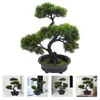 Kwiaty dekoracyjne sztuczne petyty fałszywe rośliny dekoracje domowe biurko wewnętrzne małe bonsai drzewo realistyczne urocze dekoracje sztuczne faux