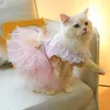 Kostiumy kota Pet Dog Ubrania Koty Suknie ślubne Puppy Pullover kostium wakacyjny strój