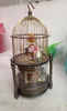 Cage à oiseaux en laiton Rare, horloge de Table mécanique, réveil 0126921251