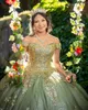 Glitter Tiulle Quinceanera Dress 2024 Sage cekina aplikna Charro meksykańska pigwy słodka 15/16 Urodzinowa suknia na przyjęcie urodzinowe dla 15. dziewczyny dramat zima formalna gala balowa szampan
