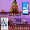 Рождественские украшения Dreamcolor Lights Красочные светодиодные гирлянды WS2812B Адресный модуль RGBIC USB WS2812 Музыкальный контроллер DC5V 231030