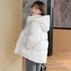 Frauen Graben Mäntel 2023 Winter Koreanische Einfarbig Baumwolle Mantel Langarm Strickjacke Zipper Mit Kapuze Gerade Rohr