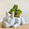 Wazony Puppy Statue Sadzarca Ozdoba Sukulenty Kwiat doniczki domowe biuro Dekoracja ogrodu 10x5x3 5cm 231030