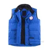 Canda Goose Men's Down Parkas Pluma Otoño Invierno Canadá Estilo Chaqueta para hombre Chaleco Real Etiqueta Negra Moda Hombres Mujeres Gilet 7 E5BM