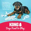 Dog Toys Chews Kong -Puppy Toy Natural Theathing 고무 - 씹고 가져 오는 재미는 231031에 따라 다를 수 있습니다.