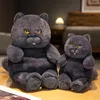 Poupées en peluche gros chat en peluche animaux en peluche jouet réaliste chat noir jouet pour garçons et filles enfants cadeau d'anniversaire de noël 231030