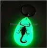 Nyckelringar smycken Real Scorpion Spider Crab Ant Four Leaf Clover Drop Shaped Amber Harts Keychain Taxidermy