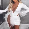 Casual Dresses Mesh Inserted Embellished Party Dress Sexy Women See Through Nightclub White Feather Mini113073