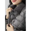 Piumino da donna Parka Cappotto invernale Donna Elegante imitazione pelliccia di visone Giacca con cuciture corta imbottita 231030