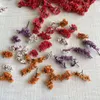 Decorative Flowers 5g Real Natural Dried Tiny Crystal Grass Preserved Rose Flower Heads Mini Dry Forget-me-not DIY For Candle Making