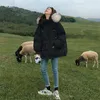 Trenchs de femmes Manteaux Femmes Parkas Coton Manteau d'hiver Pain Veste Femme Courte Lâche Épais Chaud Outwear Collier De Fourrure Artificielle Pardessus