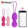 App Control Vibrating Egg Kegel Ball Vibrators Wireless Remote Wearable Panties Vibrator G Spot Vaginal Sex Toys for Women 231010