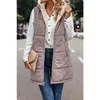 Gilet da donna Moda Autunno Inverno Doppio lato caldo spesso senza maniche Cerniera Tasca allentata Giacca Outwear Donna Gilet di lana con cappuccio Cappotto Top