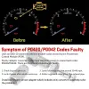 PQY Universal Oxygen Sensor Extender 90 grad 02 Bung Extension Catalytic Converter O2 Syre Sensor Spacer PQY OSE02 ZZ