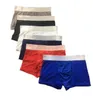 Mens underkläder Boxer Shorts Modal Sexig Gay Male Ceuca Boxers Underpants Breattable Mesh Man Underwears M-XXL Hög kvalitet med lådor