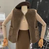 Gilet senza maniche in pelo di agnello imitazione pelliccia da donna Cappotto da ragazza con tasca con cerniera e temperamento alla moda