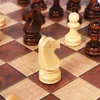 Satranç Oyunları 3 In 1 Satranç Tahtası Katlanır Ahşap Taşınabilir Satranç Oyun Tahtası Ahşap Satranç Kurulu Yetişkinler Damaları ve Taşımacı 231118