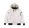 디자이너 구스 코트 겨울 캐나다 칠리 락 조종사 재킷 디자이너 남자 여자 다운 파카 homme outerwear coats