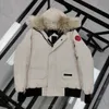 Doudounes Canadian Goose Hommes Parka Hiver Tissu imperméable Hommes Fourrure De Loup Wyndham Veste À Capuche Fourrure Outwear Canda Goose Fourrures De Raton Laveur Manteau Chaud fs