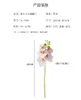 Fleurs décoratives 5 pièces Phalaenopsis artificielle maison fête décoration fleur plante Latex orchidée Pograph accessoires Simulation Flores branche