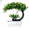 Dekorative Blumen Künstliche Pflanzen Home Decor Bonsai kleiner Baum Topf gefälschte Pflanze Steckte Ornamente Raum Tischdekoration El Garden