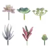 Декоративные цветы 6 штук -моделирование суккуленты красивые модные искусственные растения фальшивые для банкета домашнего офиса