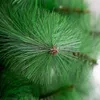 Рождественские украшения 1,8 м Зеленая сосна Иголь