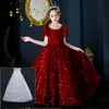 2022 Flower Girl Dress First Holy Communion Dress Princess Sequined Ball Gown Wedding Party Dress